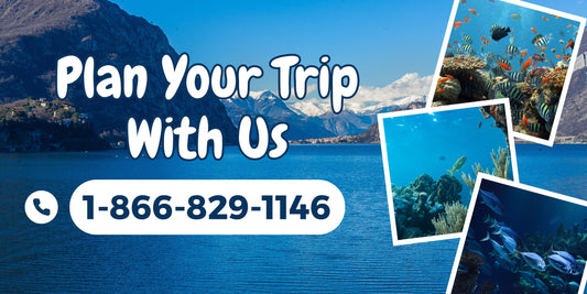 Ways To Call Expedia Customer Service By Phone Number, Chat and Emails Options: | An Ultimate Helpful Guide