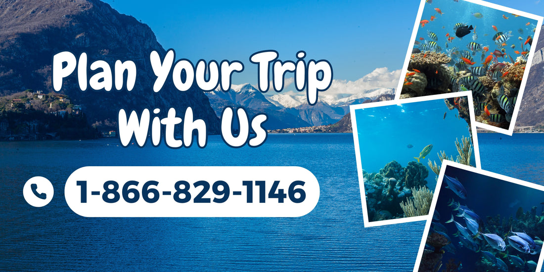 Ways to Call Expedia Customer Service: By Phone and Email | A Detailed Guide